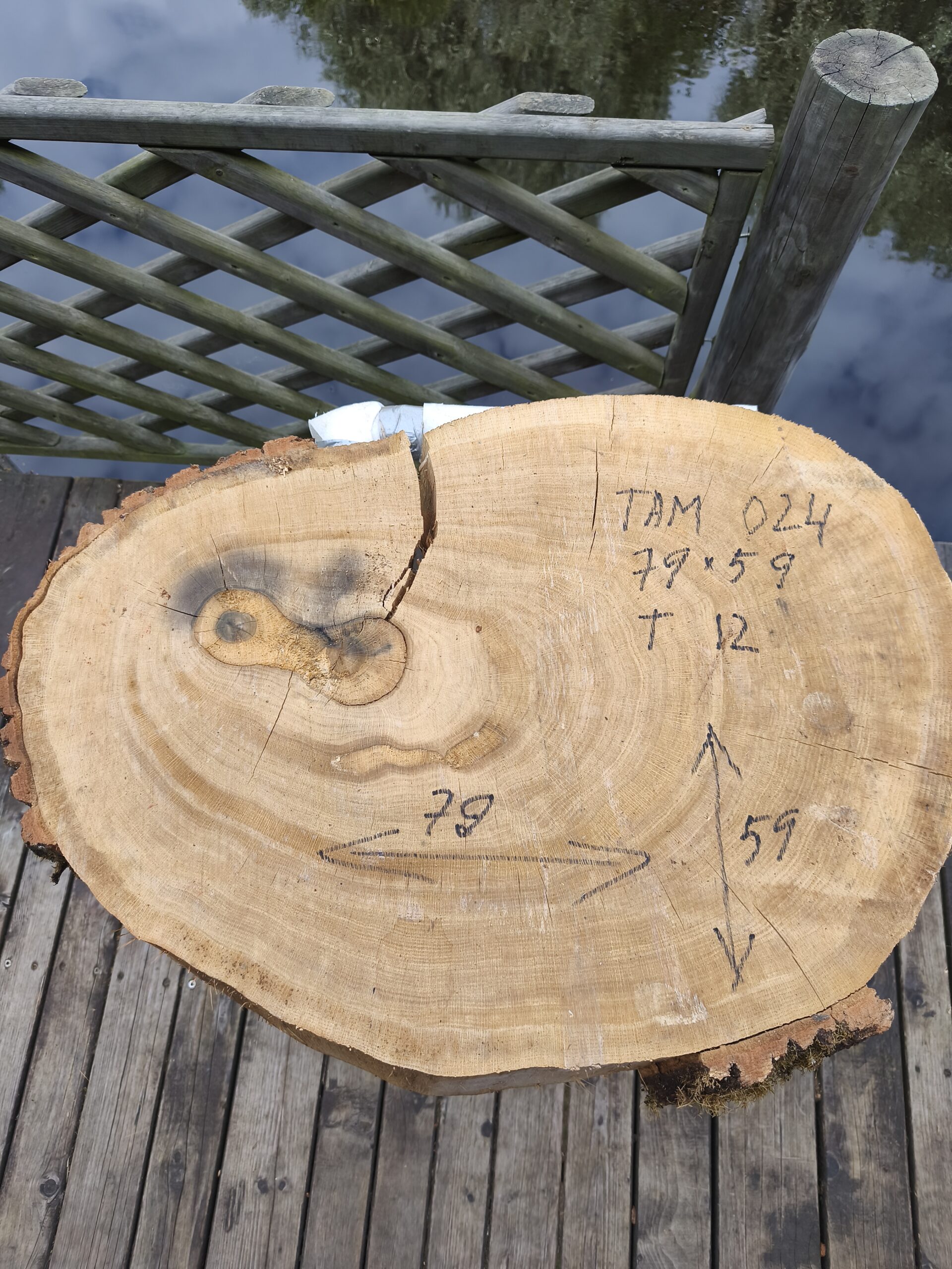 TAM 024