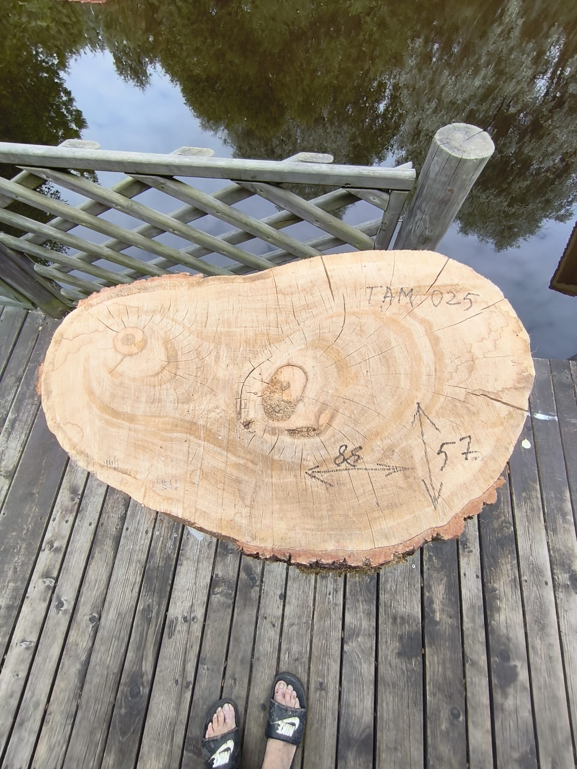 TAM 025