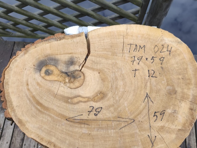 TAM 024