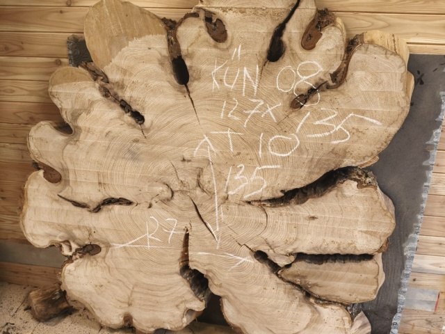 KÜN 008